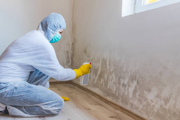Licensed Mold Testing service in Barrington, NJ - WQB Mold Removal