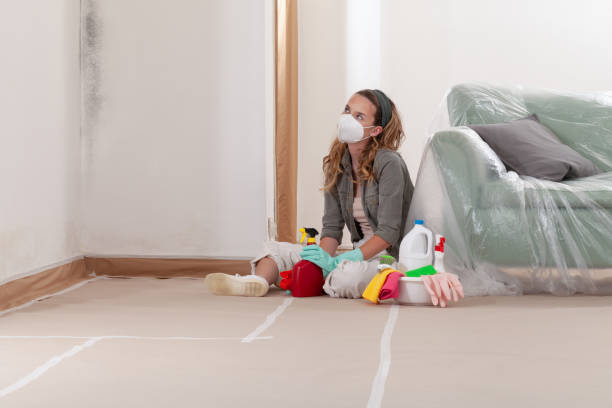 Reliable Mold Testing contractor in Barrington, NJ by WQB Mold Removal
