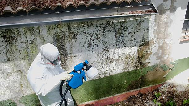 Top rated local Mold Testing specialists in Barrington, NJ